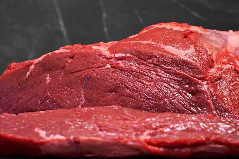 Scamone Di Bov. Adulto